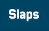 Maya Clars Slaps.com