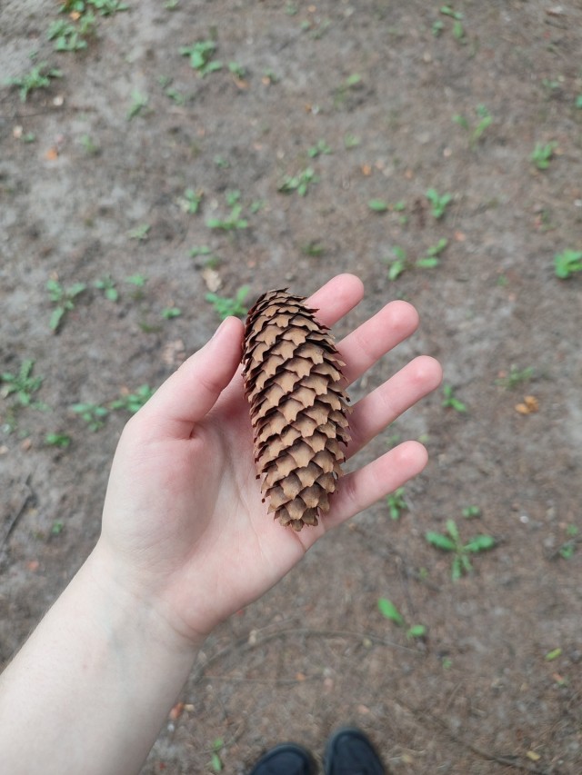 #nature 