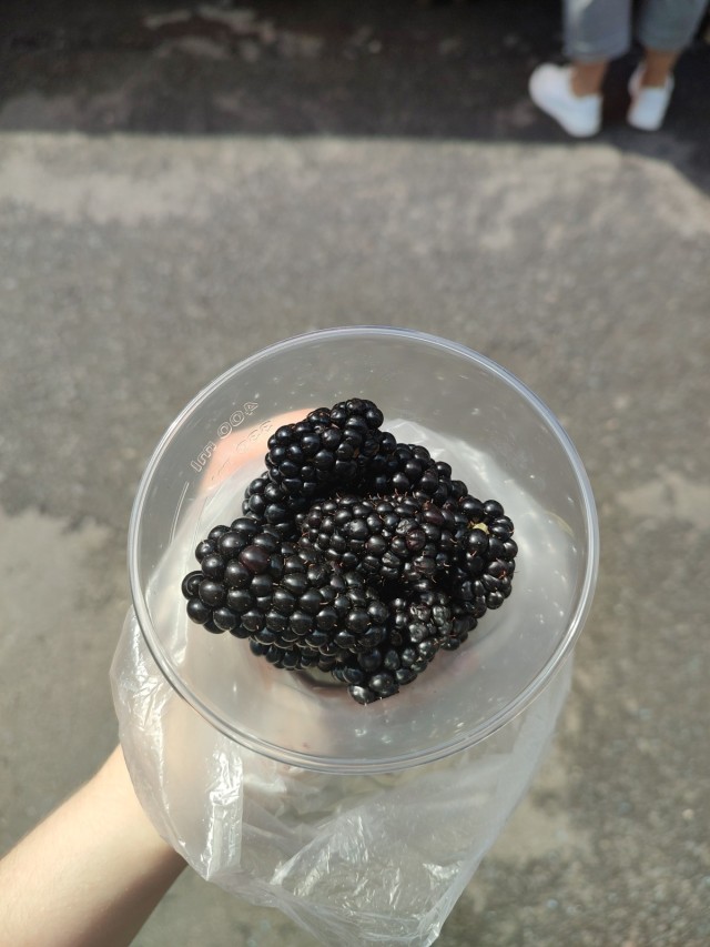 #musician #music #audio #songs #song #music engineer #guitar #berries 