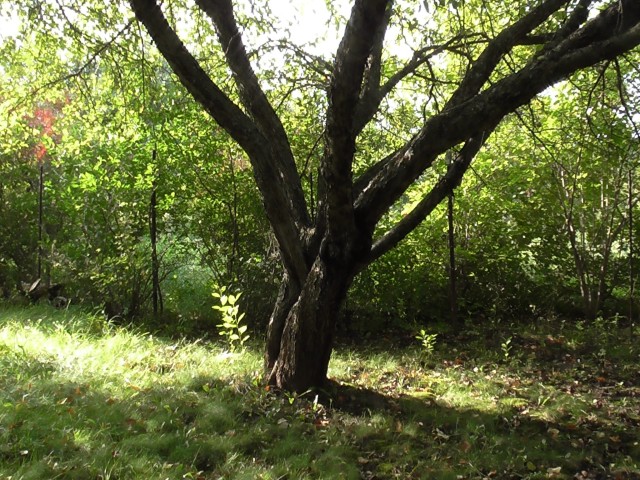 #nature 
