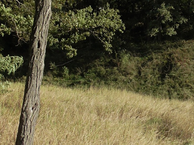 #nature 