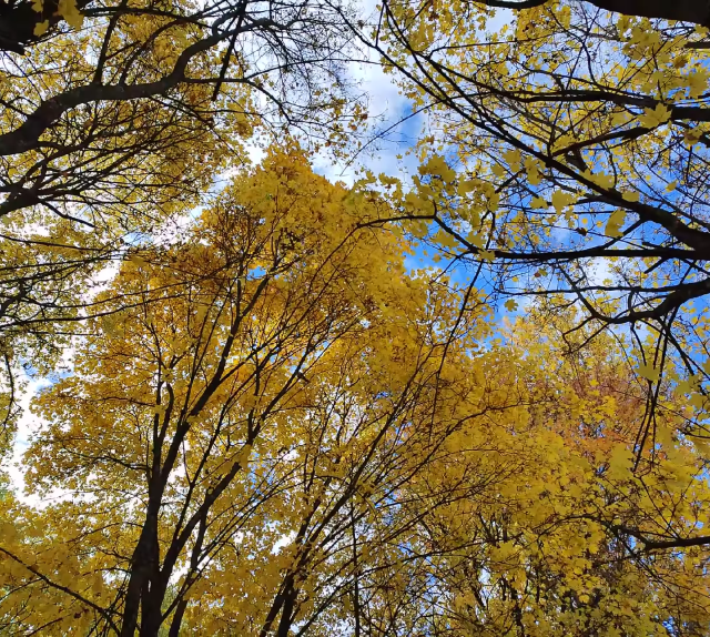 #music #audio #songs #song #lyrics #music video #music engineer #bandcamp #music studio #fall