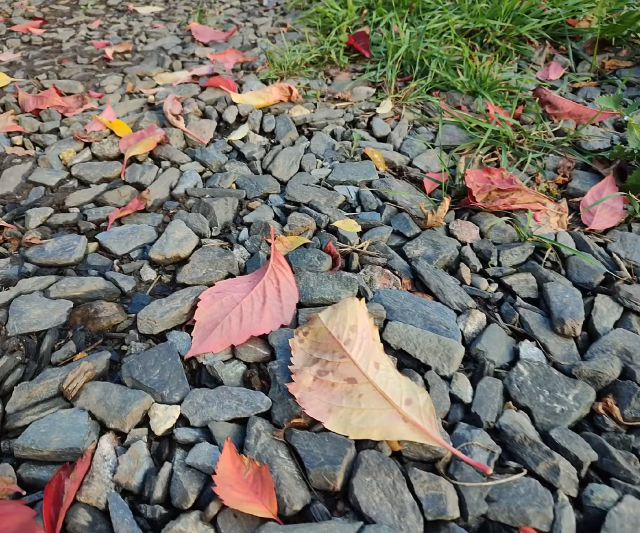 #music #audio #songs #song #lyrics #music video #music engineer #bandcamp #music studio #fall