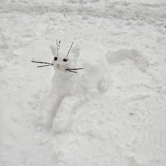 #catinthesnow